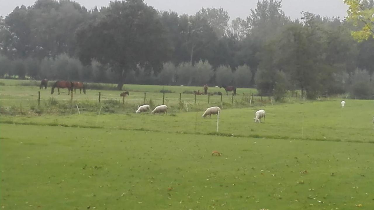 De Weije Wereld Bed & Breakfast Sint-Oedenrode ภายนอก รูปภาพ