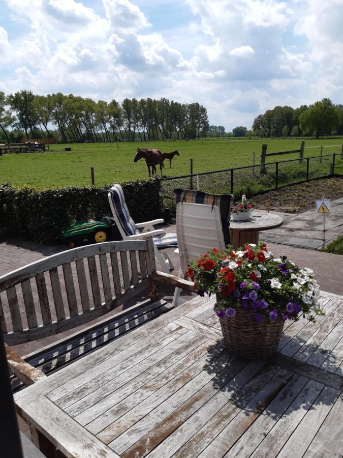 De Weije Wereld Bed & Breakfast Sint-Oedenrode ภายนอก รูปภาพ